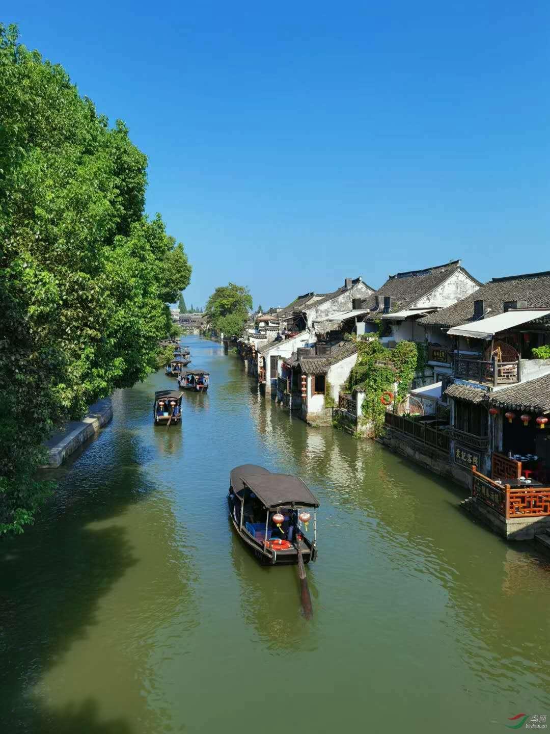 小猫钓鱼游戏龙王版有船
